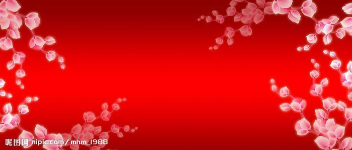 土伦大学Business Administration Degree Certificate